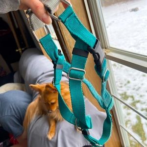 2hounds design dog harness Medium